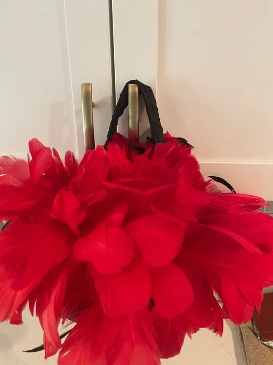 Red Feathered Cocktail Purse - Picture 3 of 8